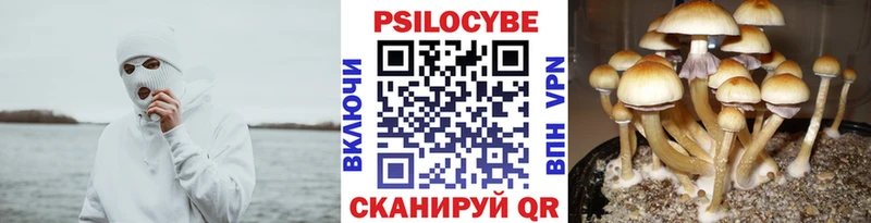Псилоцибиновые грибы MAGIC MUSHROOMS  мега вход  Сосенский 